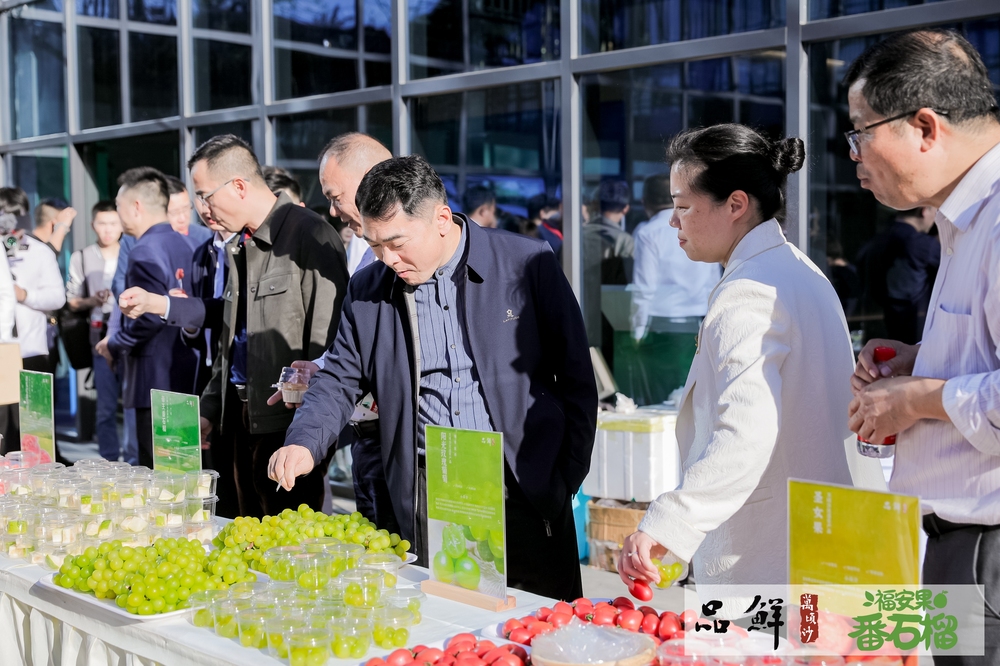 GM3A6594.JPG