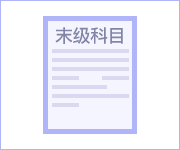 代理记账的末级科目余额表